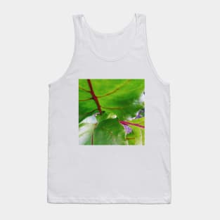 Red Beet Foliage Tank Top